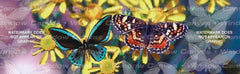 Papillon Rear Window Decal - Custom Vinyl Graphics