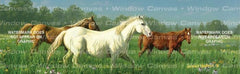 Prarie Meadow Horses Rear Window Decal - Custom Vinyl Graphics