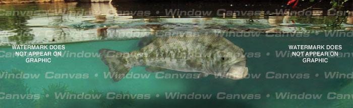 Prize Catch Rear Window Decal - Custom Vinyl Graphics