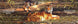 Product image thumbnail 2