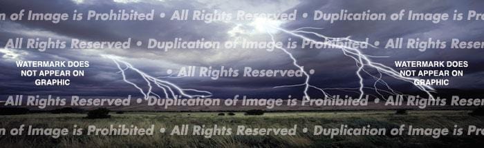 Range Lightning Paradiso Rear Window Decal - Custom Vinyl Graphics