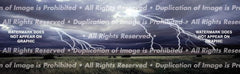 Range Lightning Paradiso Rear Window Decal - Custom Vinyl Graphics