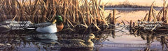 Resting Mallards Rear Window Decal - Custom Vinyl Graphics