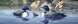 Product image thumbnail 2