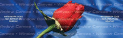 Rose Rear Window Decal - Custom Vinyl Graphics