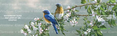 Spring Blossoms Bluebird Rear Window Decal - Custom Vinyl Graphics