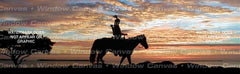 Sunset Tracker Rear Window Decal - Custom Vinyl Graphics