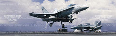 Tailhook Rear Window Decal - Custom Vinyl Graphics