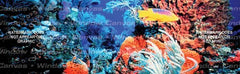 Tropical Reef Rear Window Decal - Custom Vinyl Graphics