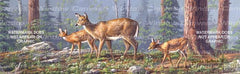Twin Fawns Rear Window Decal - Custom Vinyl Graphics