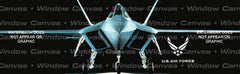 USAF 22 Rear Window Decal - Custom Vinyl Graphics