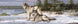 Product image thumbnail 2