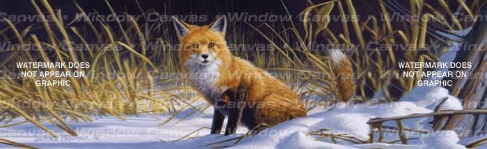 Winter Fox Rear Window Decal - Custom Vinyl Graphics
