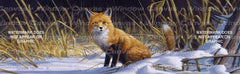 Winter Fox Rear Window Decal - Custom Vinyl Graphics