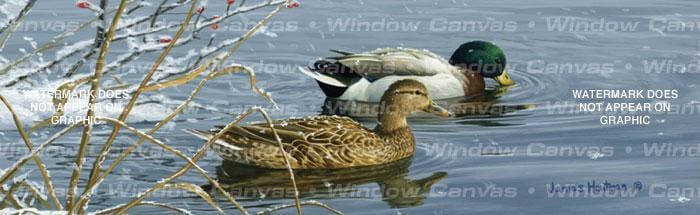 Winter Waters Rear Window Decal - Custom Vinyl Graphics